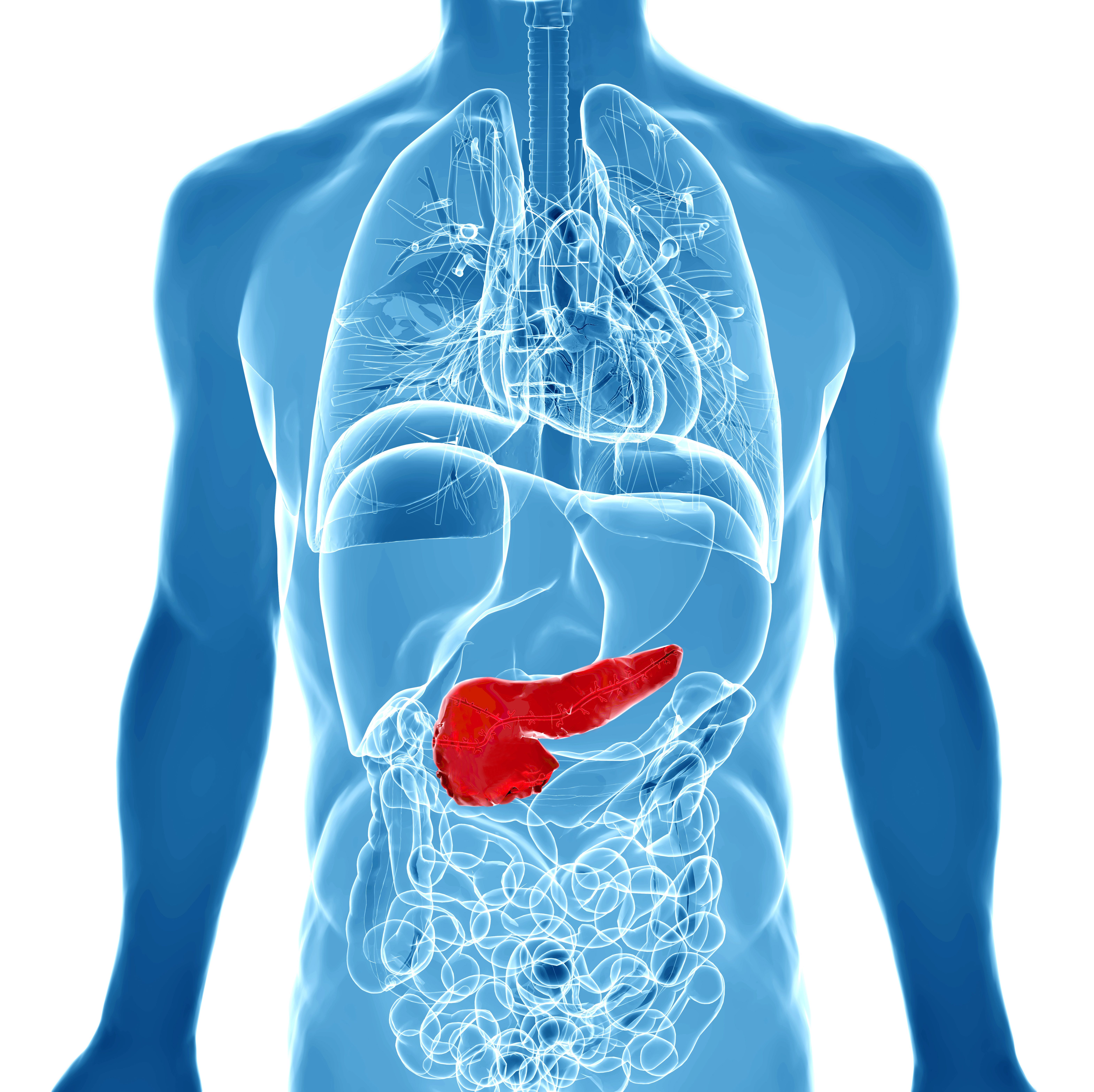 FDA Grants FTD to ERAS-0015 for Pancreatic Cancer: © goanovi - stock.adobe.com