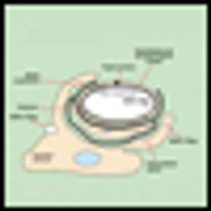 Recent Advances in the Treatment of Pediatric Brain Tumors