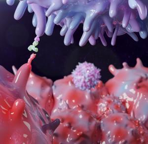 The Complexities and Art of Interpreting Biomarkers and Response to Immune Checkpoint Inhibitors