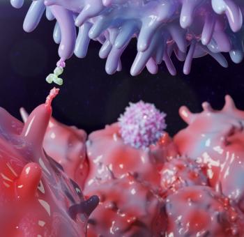 The Complexities and Art of Interpreting Biomarkers and Response to Immune Checkpoint Inhibitors