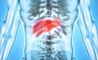 Irpagratinib demonstrated superior survival among patients with hepatocellular carcinoma who were pretreated with ICIs and mTKIs.
