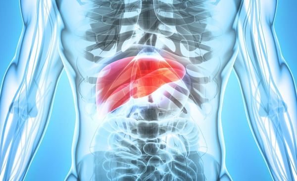 Irpagratinib demonstrated superior survival among patients with hepatocellular carcinoma who were pretreated with ICIs and mTKIs.