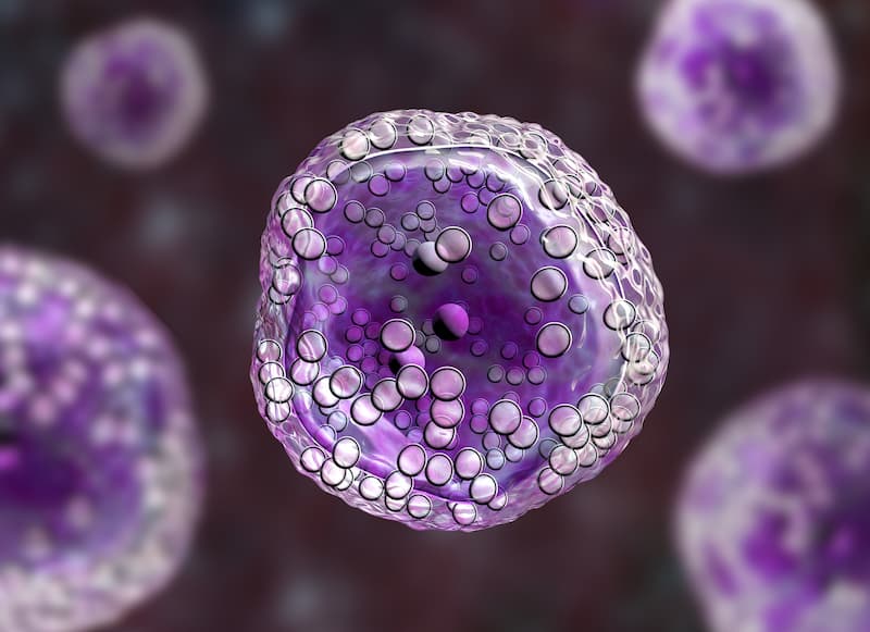 Atezolizumab With R-CHOP Shows Long-Lasting Activity in Previously Untreated DLBCL