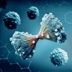 Recap: Available Treatment Options in Transplant-Eligible Multiple Myeloma