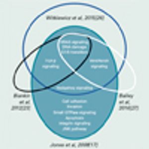 Therapeutic Implications of Molecular Subtyping for Pancreatic Cancer