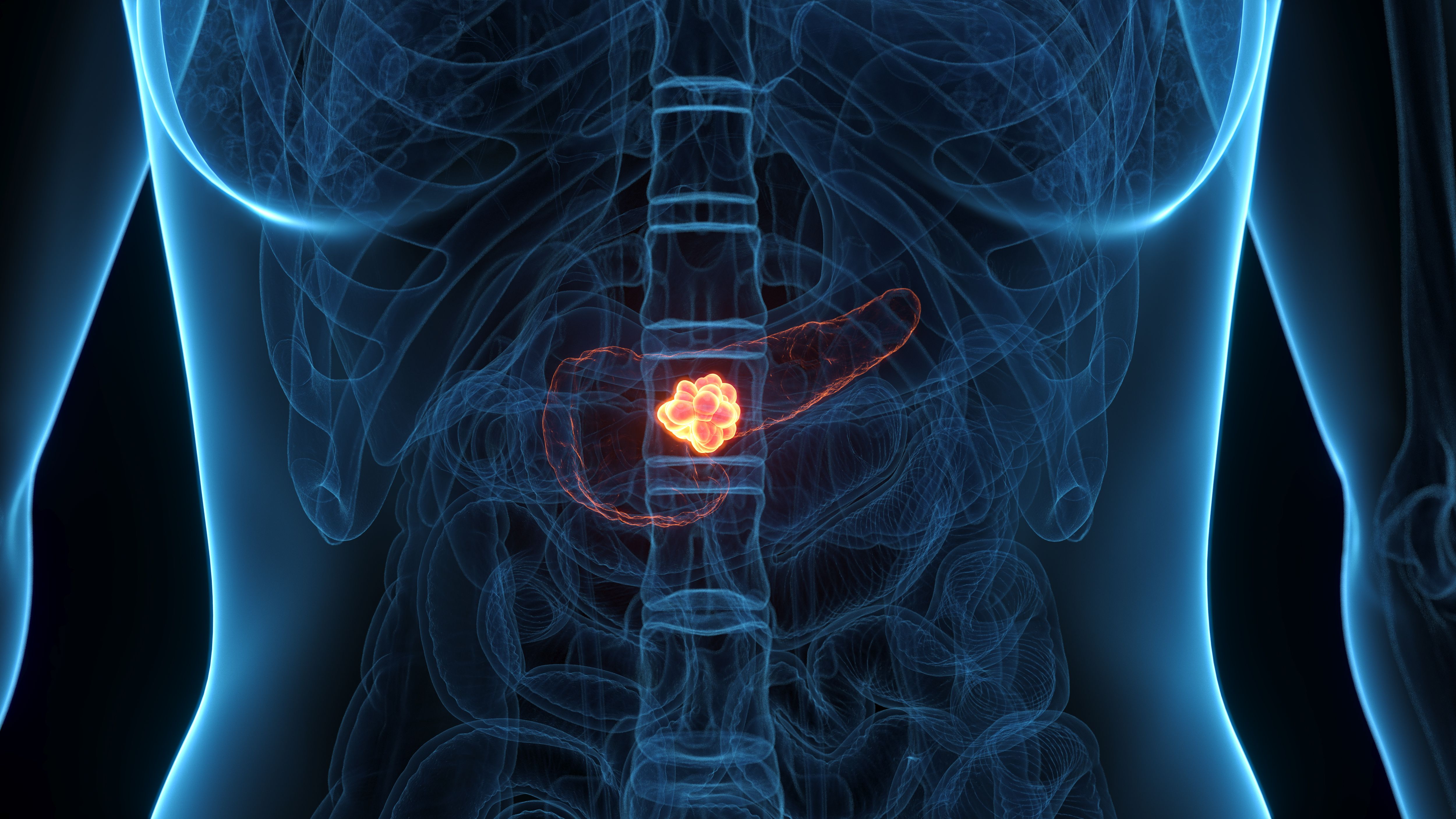 Daraxonrasib Under Phased Review Process in Pancreatic Cancer: © Sebastian Kaulitzki - stock.adobe.com