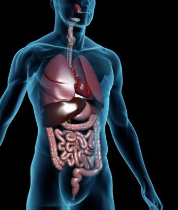 detailed organs