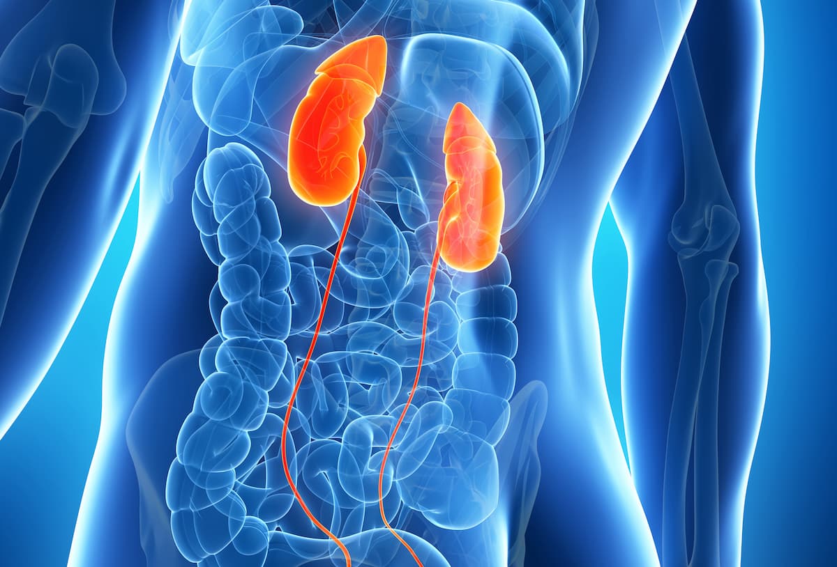 Response Acheivement With Nivolumab Plus Ipilimumab Combo for Clear Cell RCC Linked With Immune Cell–Related Factirs