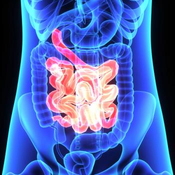 intestines