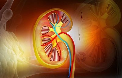 Greater responses were observed in a cohort of patients with renal cell carcinoma receiving lenvatinib plus belzutifan vs pembrolizumab plus lenvatinib.