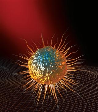 Bone marrow concept illustration