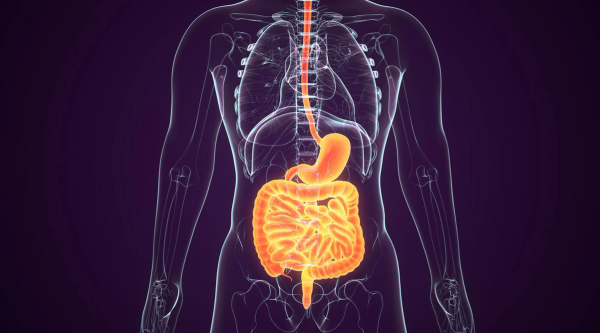 MATTERHORN Results Yield Promise in Resectable Gastric/GEJ Cancer