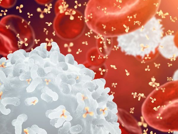 The majority of patients with de novo DLBCL who received zanubrutinib plus rituximab and lenalidomide achieved complete responses in a phase 2 trial.