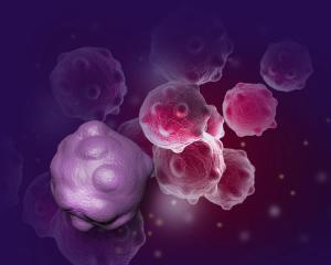 The High Cost of Oral Anticancer Drugs: What Does the Future Hold?