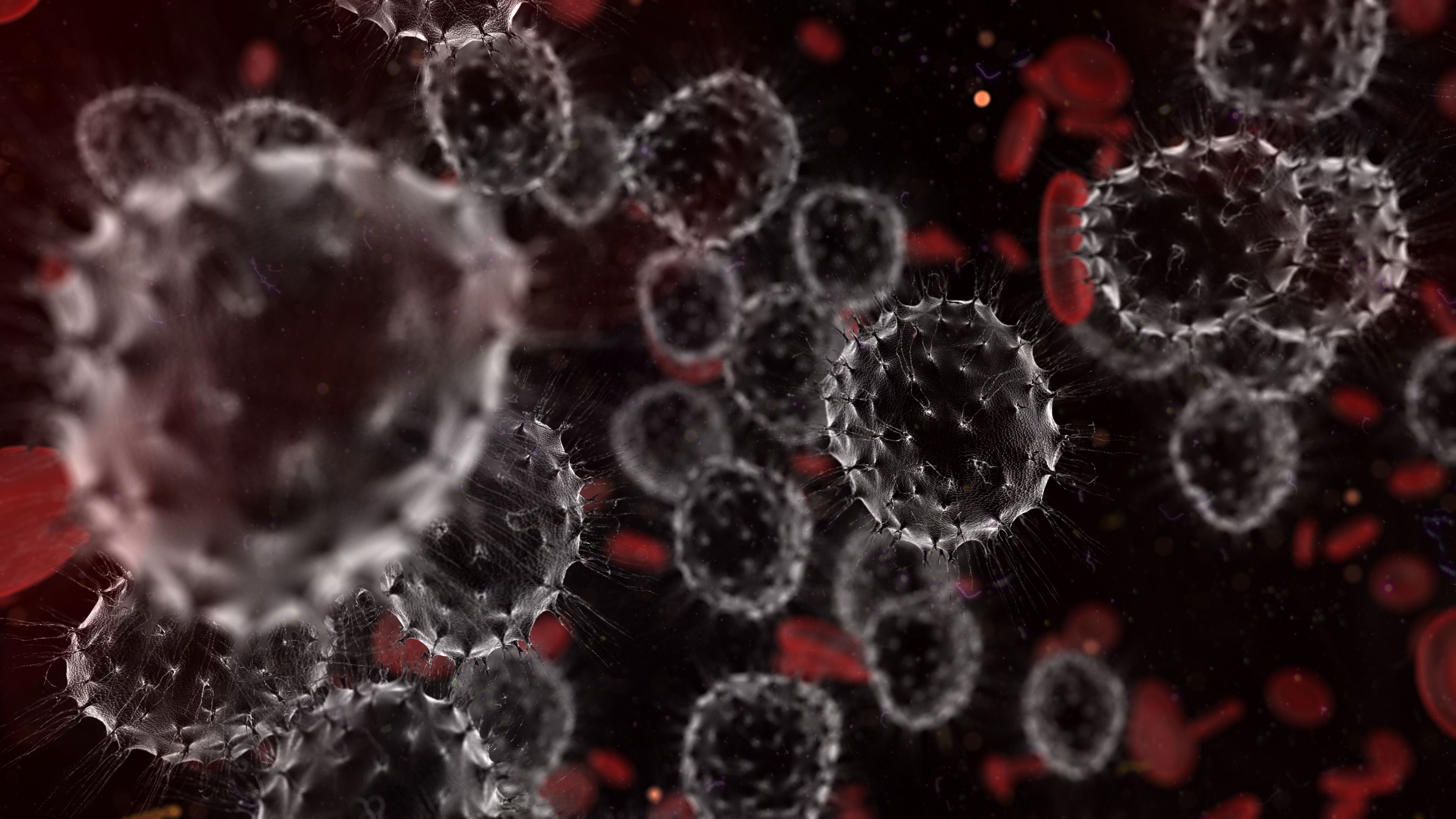 Cancer t cells lymphocytes in human body under an electron microscope - 3D render | Image Credit: © immimagery - stock.adobe.com.