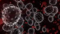 Cancer t cells lymphocytes in human body under an electron microscope - 3D render | Image Credit: © immimagery - stock.adobe.com.