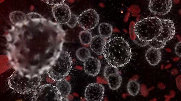 Cancer t cells lymphocytes in human body under an electron microscope - 3D render | Image Credit: © immimagery - stock.adobe.com