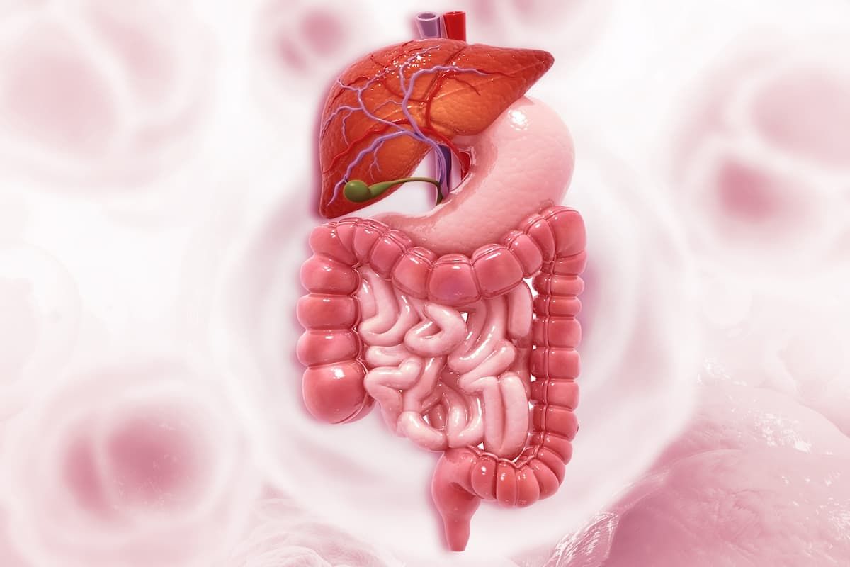 Evorpacept Combo Improves Responses in Pretreated HER2+ Gastric Cancer | CancerNetwork (via www.cancernetwork.com)