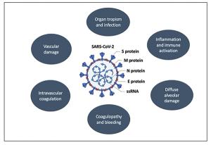 Considerations for the Management of Oncology Patients During the COVID-19 Pandemic
