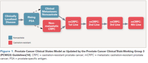 The Evolving Biology of Castration-Resistant Prostate Cancer: Review of Recommendations From the Prostate Cancer Clinical Trials Working Group 3