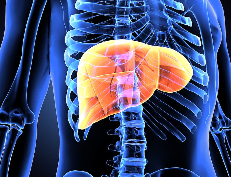 Newer Therapies Show Superior Benefit in Retrospective Data on First-Line HCC