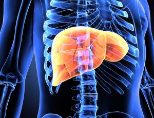 Newer Therapies Show Superior Benefit in Retrospective Data on First-Line HCC