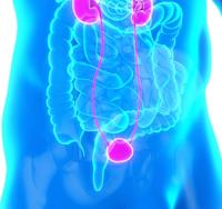 Treatment with MCS-8 yielded no serious adverse effects among patients at a high risk of developing prostate cancer.