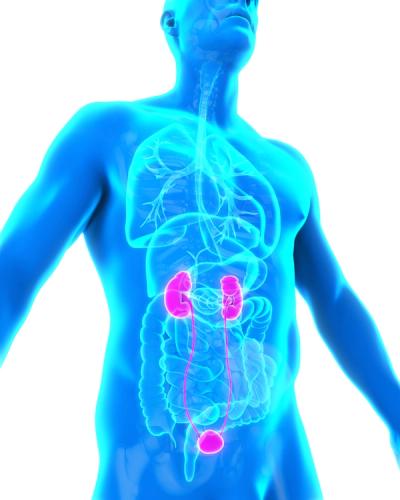 A multidisciplinary discussion may help in developing optimal treatment strategies for genitourinary cancers cases not covered by standard guidelines.