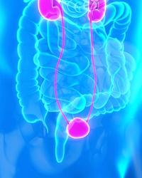 Treatment with MCS-8 yielded no serious adverse effects among patients at a high risk of developing prostate cancer.