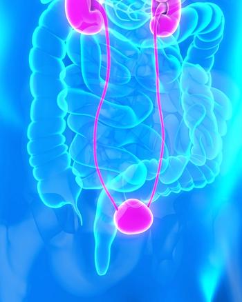 Treatment with MCS-8 yielded no serious adverse effects among patients at a high risk of developing prostate cancer.