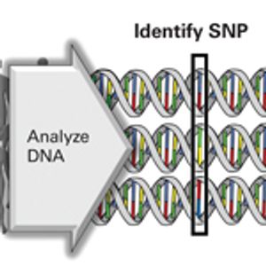 The Role of Genomic Techniques in Predicting Response to Radiation Therapy