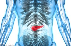 Favorable survival outcomes were identified, overall, in the wild-type and GOF groups vs the non-GOF group.