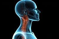 X ray of human head neck pain anatomy generative ai | Image Credit: © shahzaib - stock.adobe.com