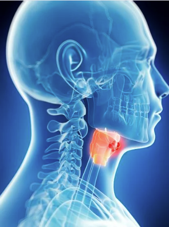 retatrutide 20mg where to buy Retatrutide 20mg retatrutide 20mg where to buy Retatrutide 20mg