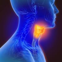 3d illustration of throat cancer | Image Credit: © Lars Neumann - stock.adobe.com