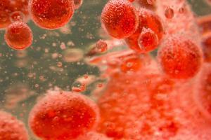 Long-Term Cilta-Cel Follow-Up Shows Curative Potential in Pretreated Multiple Myeloma