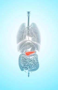 New Drug Application Complete for Surufatinib to Treat Pancreatic/Extra-Pancreatic NETs 