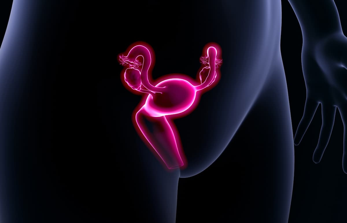 Atezolizumab Combo Does Not Significantly Boost Survival in Ovarian Cancer | CancerNetwork