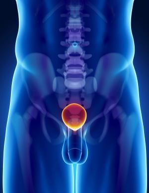 Plasma Glutamine as a Prognostic Biomarker in Localized Prostate Cancer: Comparison  of Conventional Variables in Risk Stratification