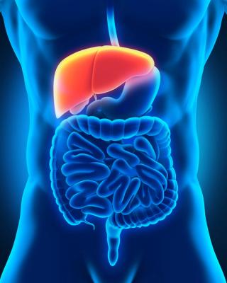 liver cancer