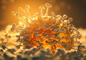 Circulating Tumor DNA as a Predictive Biomarker for Clinical Outcomes With Margetuximab and Pembrolizumab in Pretreated HER2-Positive Gastric/ Gastroesophageal Adenocarcinoma