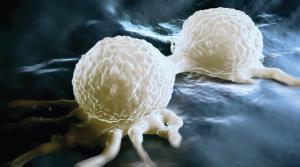 Advancing the Field of Breast Cancer Care