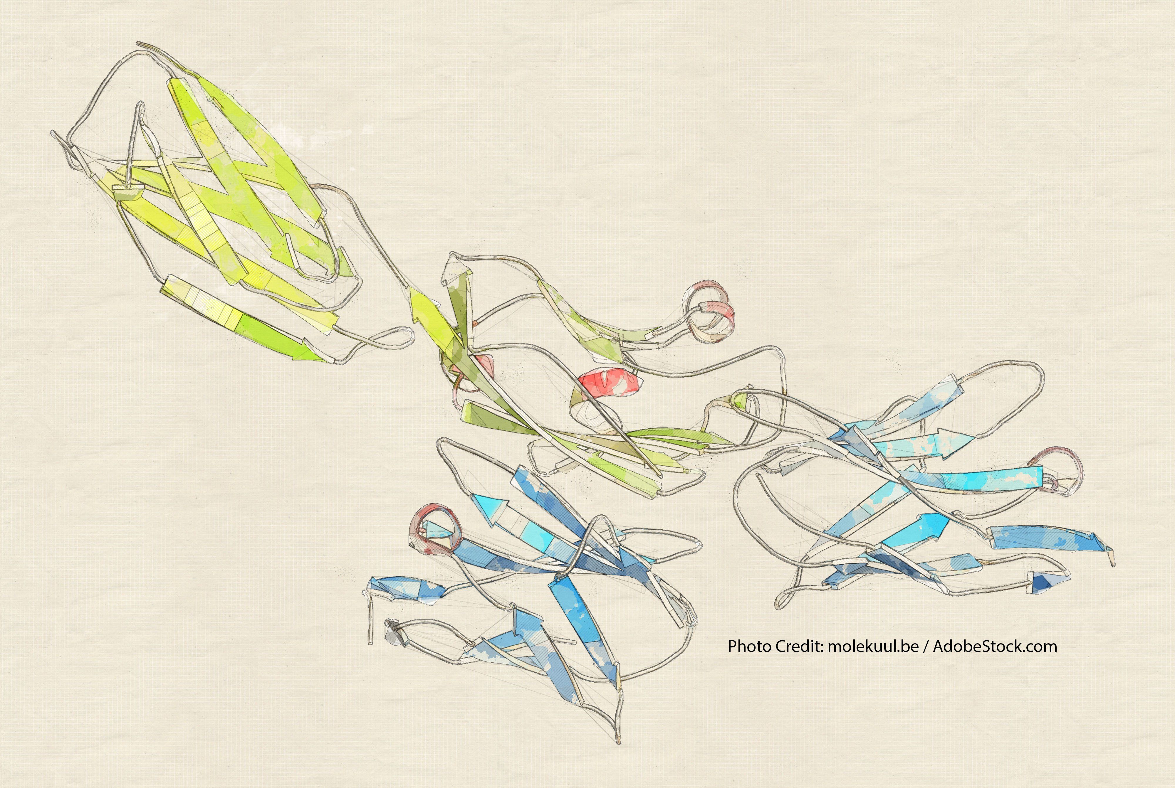 Fatal Toxicities Vary By Immune Checkpoint Inhibitor Type