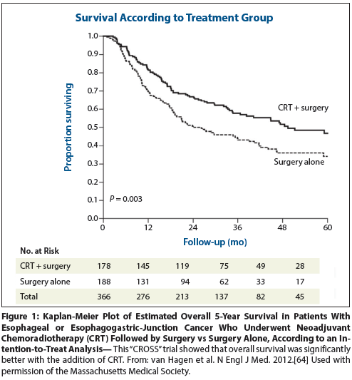 タケシ Esophagogastric Junction and Gastric Adenocarcinoma