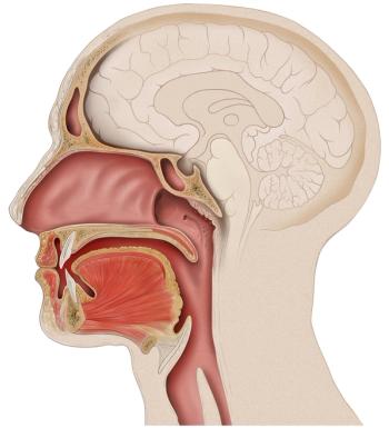 Phase 2 data also highlight an improvement in disease control rate with setanaxib/pembrolizumab in squamous cell carcinoma of the head and neck.