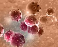 No adverse effects or injuries associated with the presence of particulate matter in 3 lots of injectable cyclophosphamide have been reported to date.