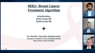 Rahul Gosain, MD; Rohit Gosain, MD; and Harold J. Burstein, MD, PhD, presenting slides
