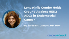 Lenvatinib Combo Holds Ground Against HER2 ADCs in Endometrial Cancer