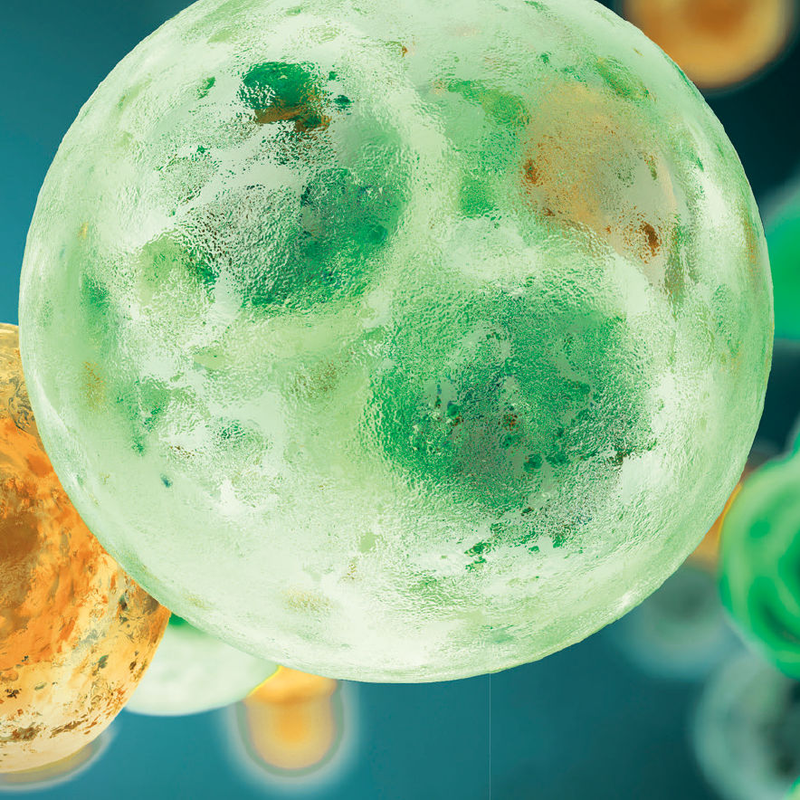 Biomarkers for Response to Anti–PD-1/Anti–PD-L1 Immune Checkpoint Inhibitors: A Large Meta-Analysis