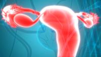 Granulosa cell tumors exhibit late recurrence and rare hepatic metastasis, emphasizing the need for lifelong surveillance in affected patients.